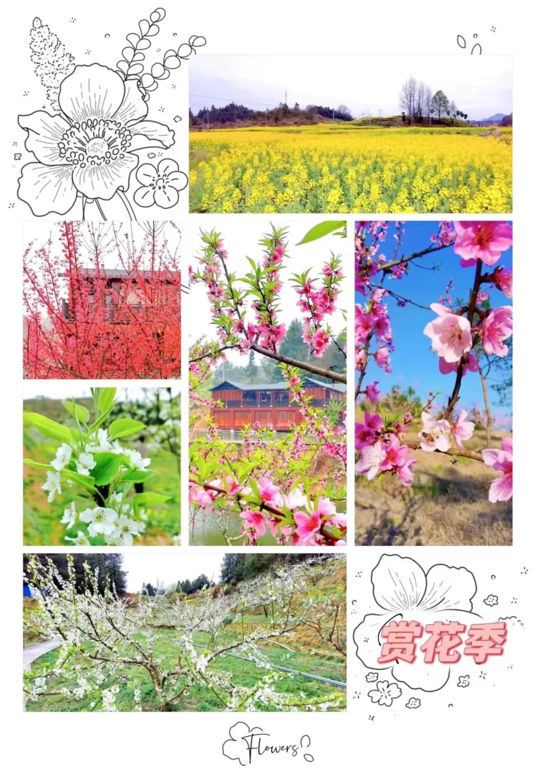 拍照好看民宿附近,拍照好看的民宿酒店