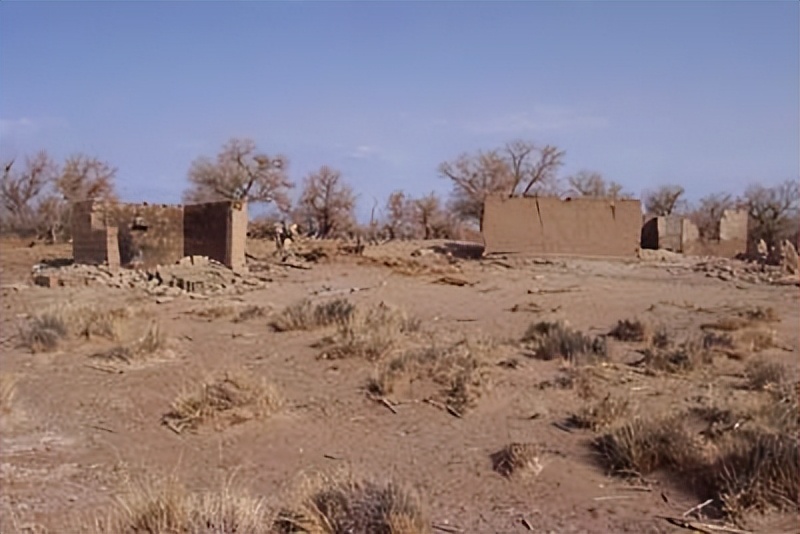 沙漠变绿洲对地球有什么影响,沙漠变绿洲这属于什么现象