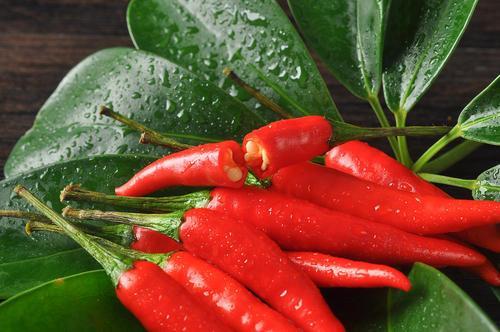 中国“痔疮”地图发布：高发群体，基本在这些省份，进来自查