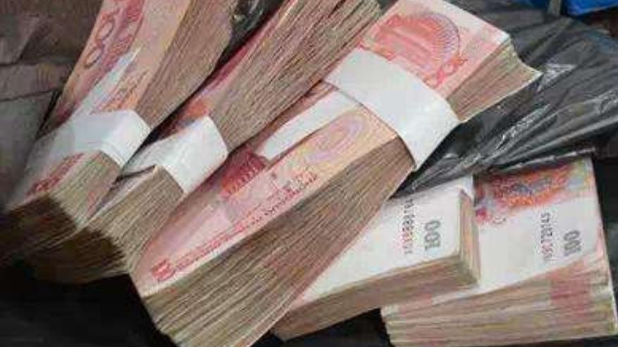 王云娜案件判刑名单,河北王云娜宣判