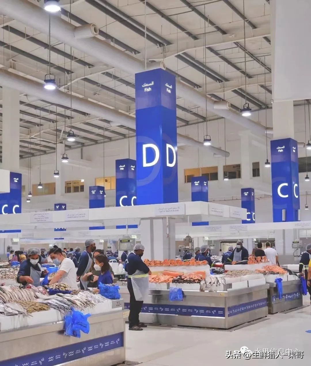 世界第一果蔬批发市场,中国十大果蔬批发市场