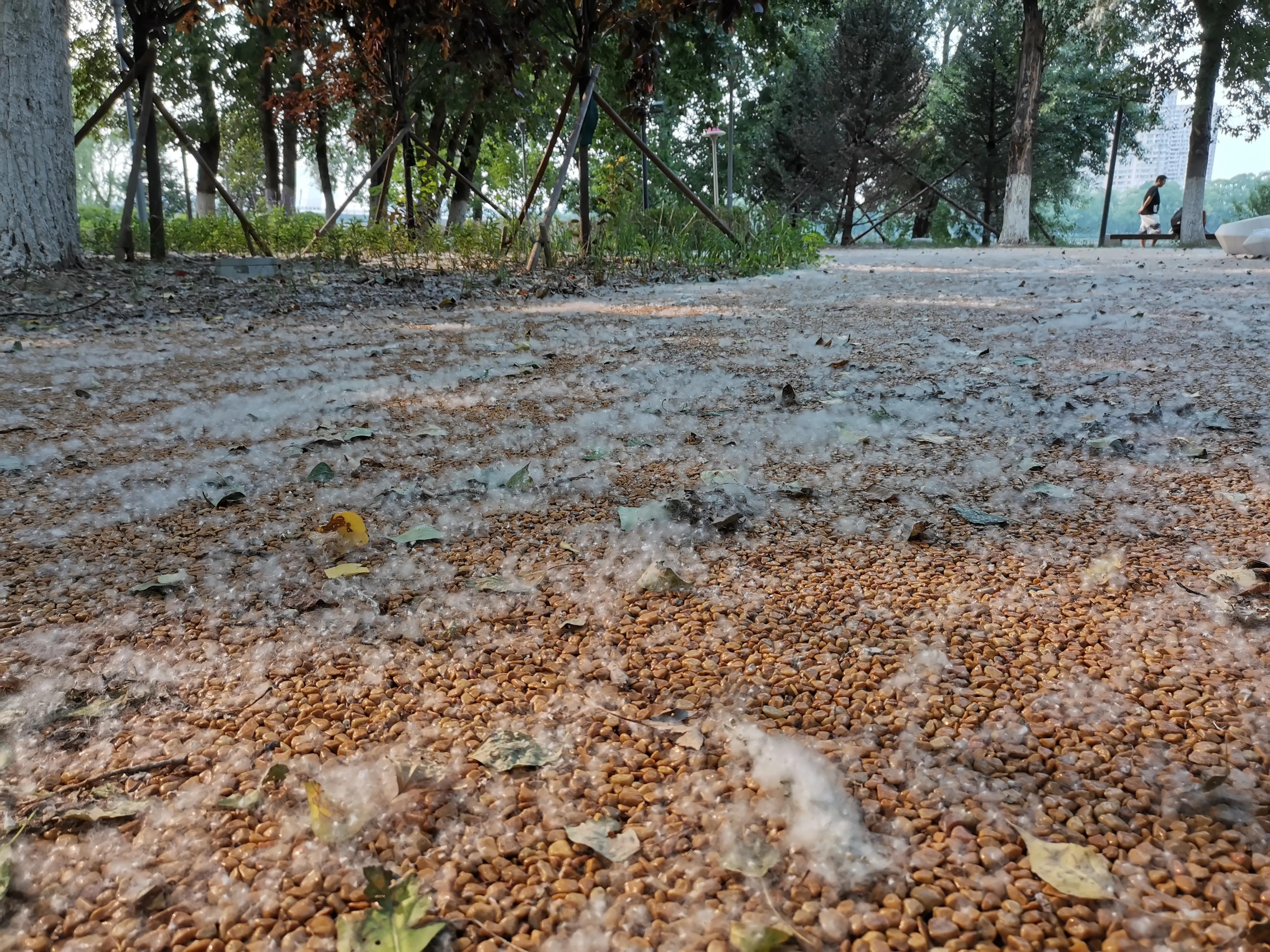 沈阳奥林匹克生态公园划船,浑南滨河公园