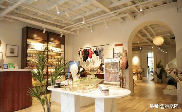 宠物美容师一个月大概多少钱,北京宠物美容月入多少钱啊