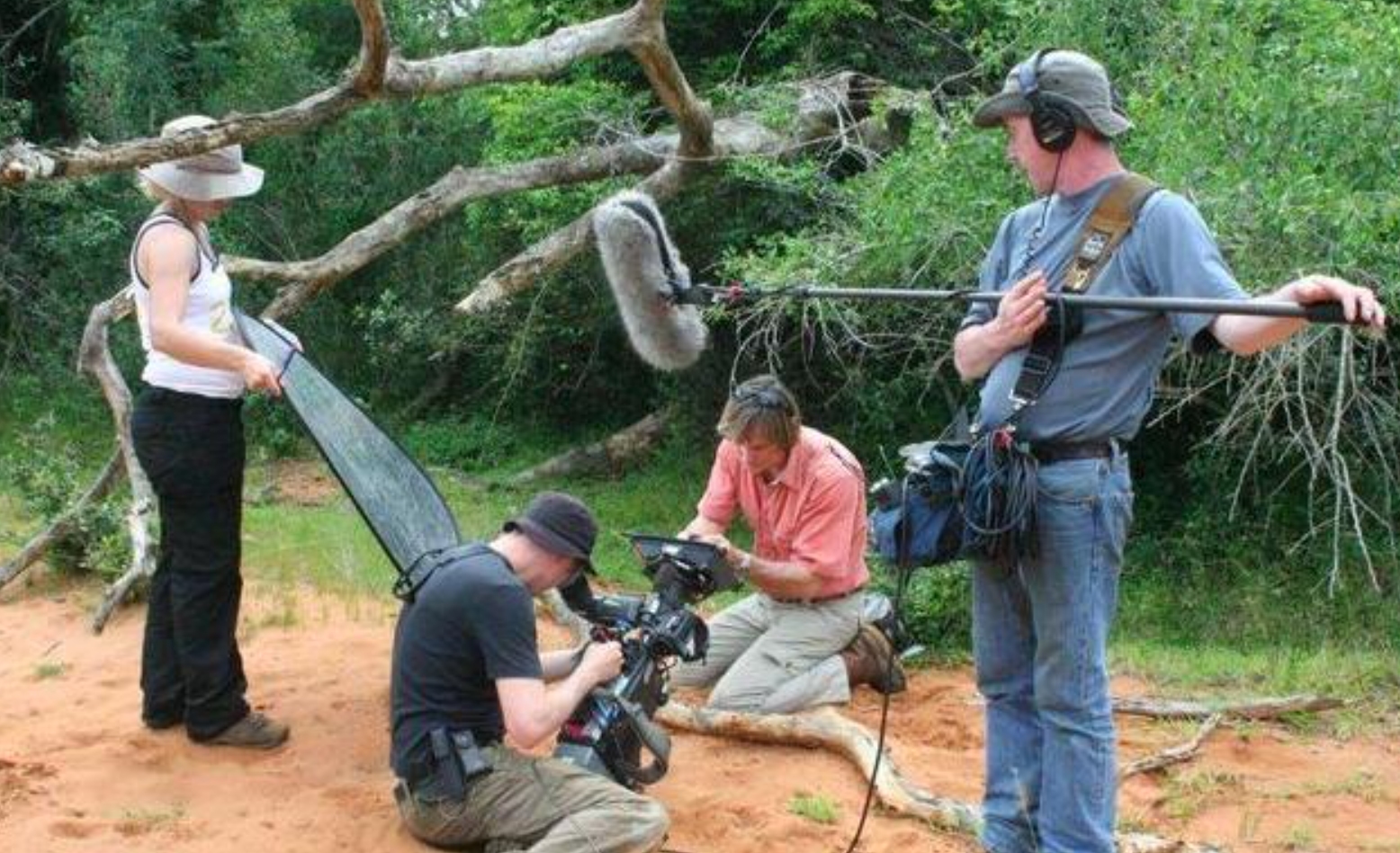 被蛇吞了肚子的科学实验,被蟒蛇吞下的24小时实验