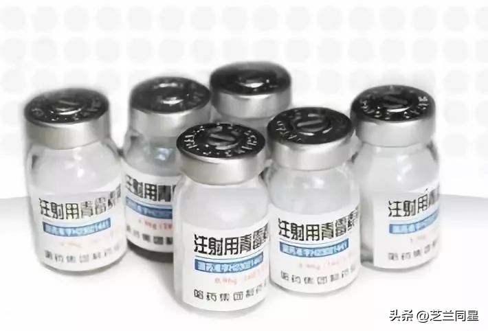 白酒对霉菌有效吗,霉菌有什么功能