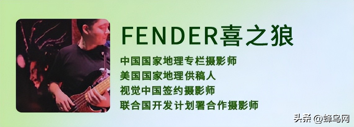 佳能eosr5镜头24-70,佳能r5和r6照相评测