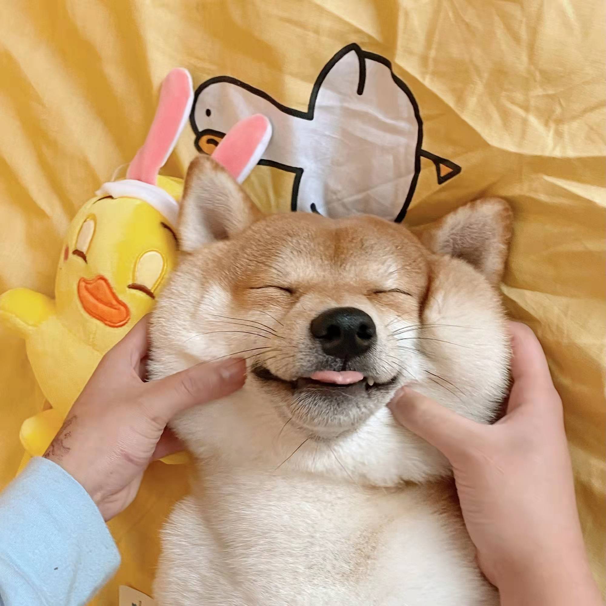 你只关心你自己的沙雕文案,夸姐妹的文案沙雕