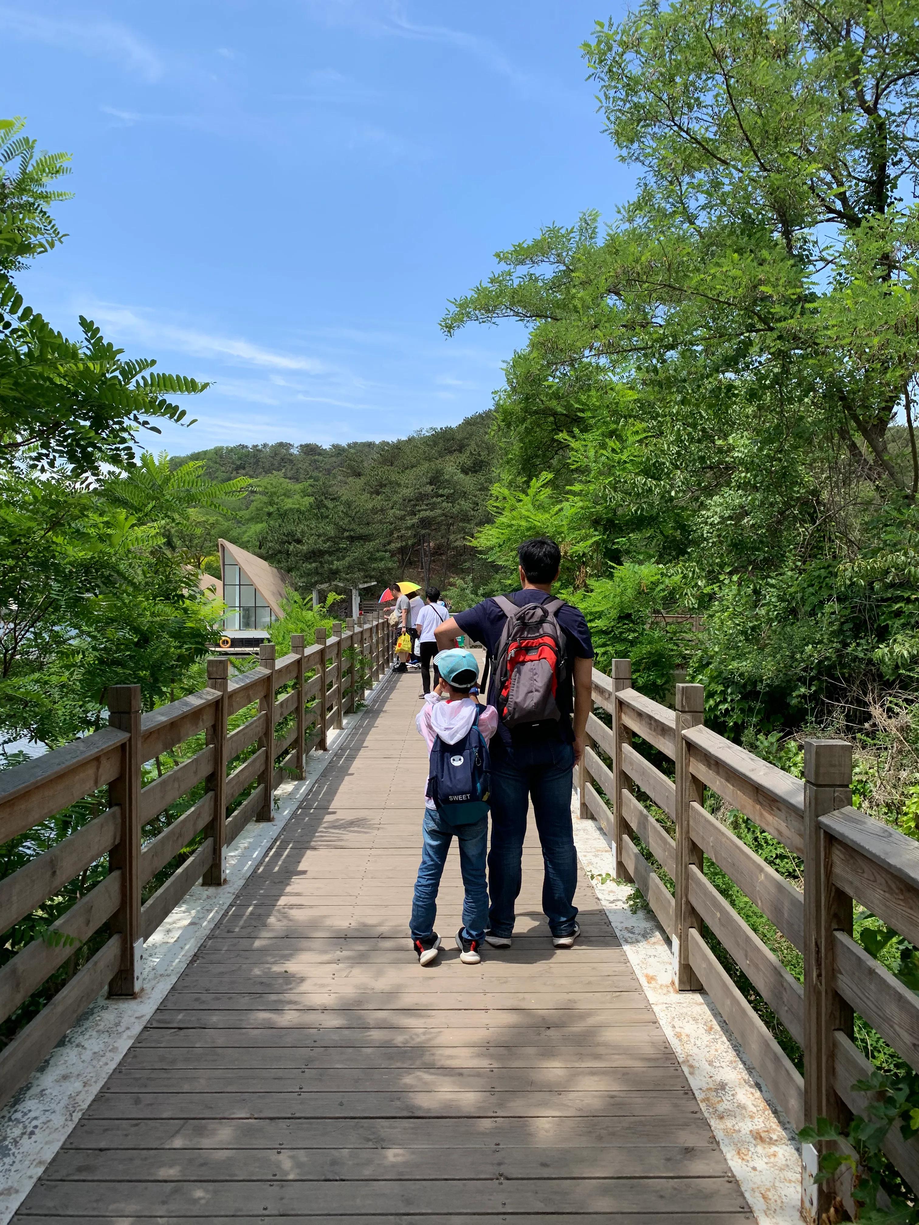 大连动物森林公园旅游攻略,大连森林动物公园旅游攻略