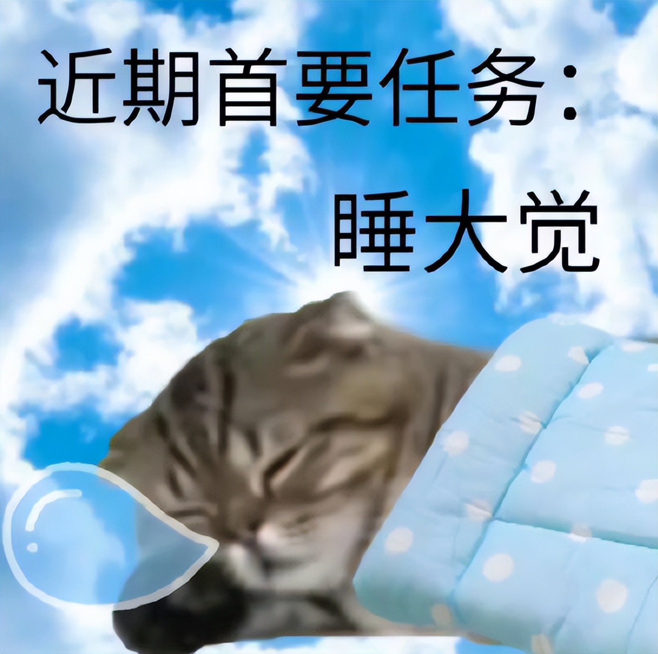 飞利浦外设贴牌,飞利浦代工贴牌南极人