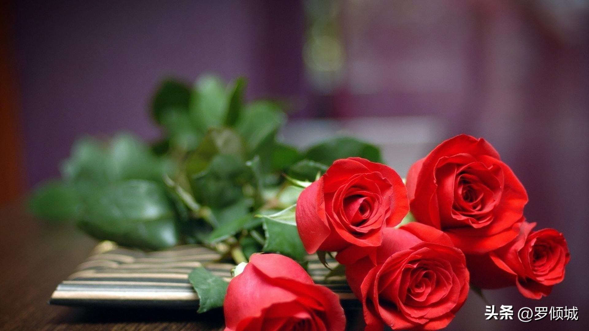 许三观卖血记卖一次血挣多少,许三观卖血记小说在线阅读