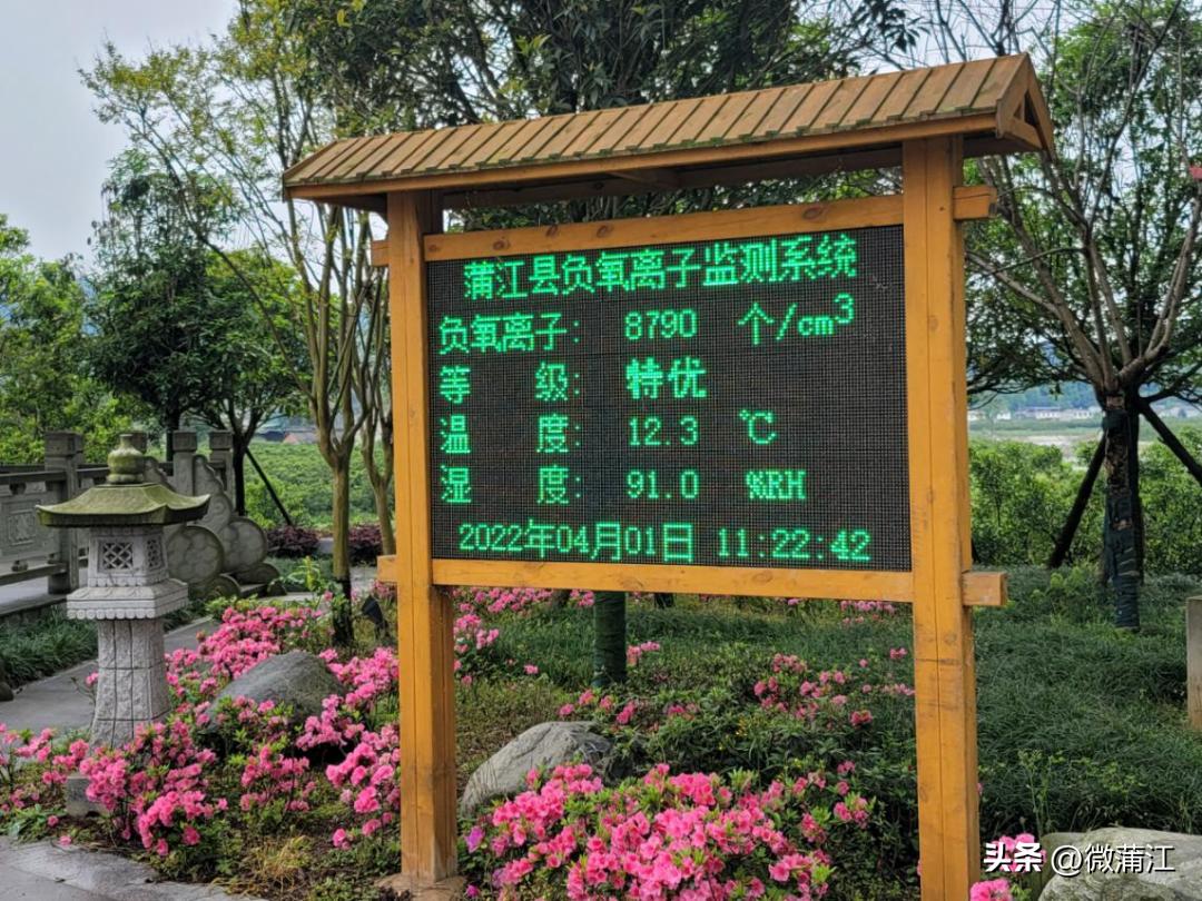 成都市全面推进乡村振兴意见建议,蒲江县乡村振兴