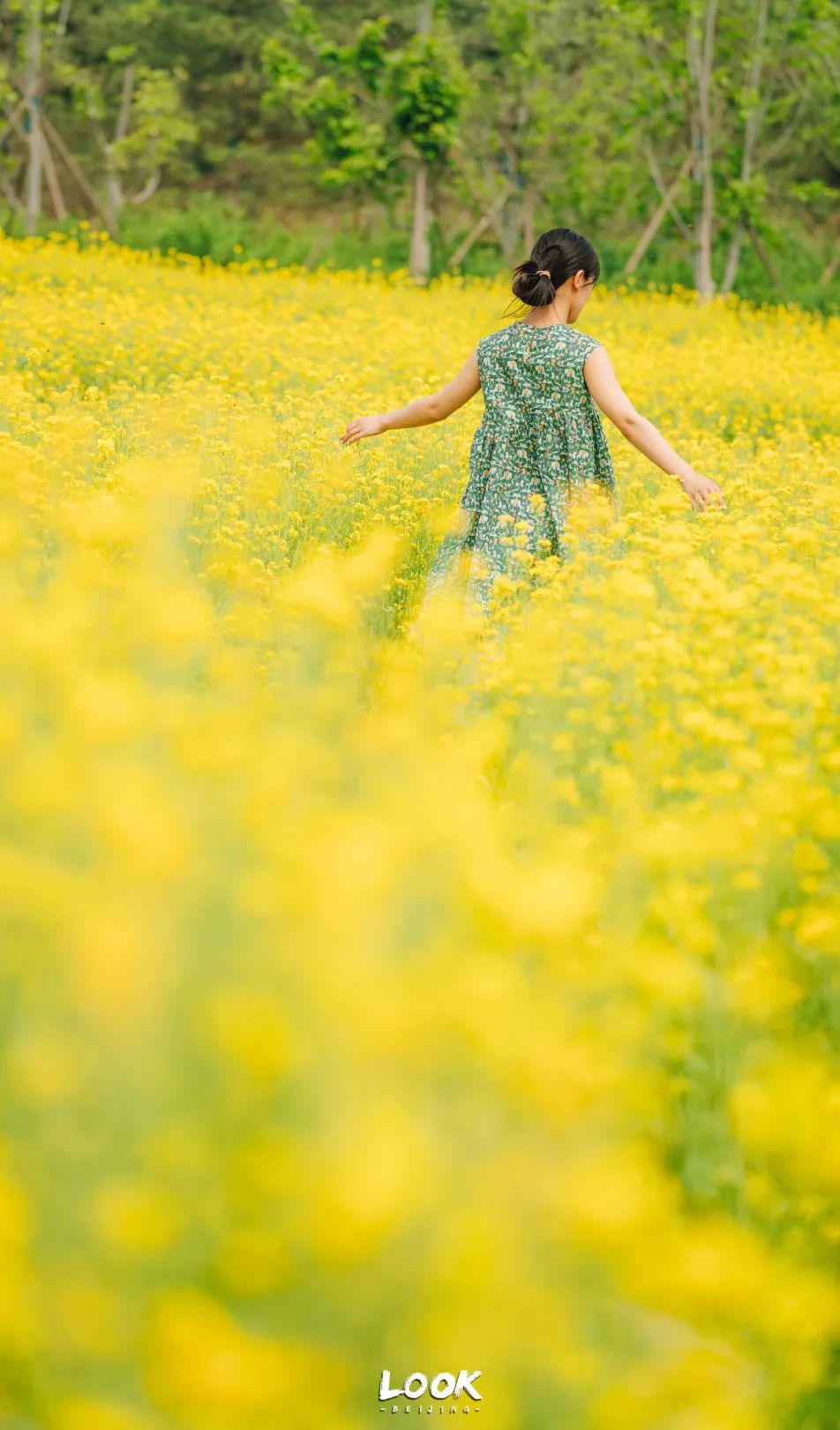 北京居庸关花海栈道,北京四季花海景区