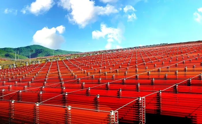 云南爱尔发、云南爱尔康被评“优秀”！楚雄州仅3家企业入榜