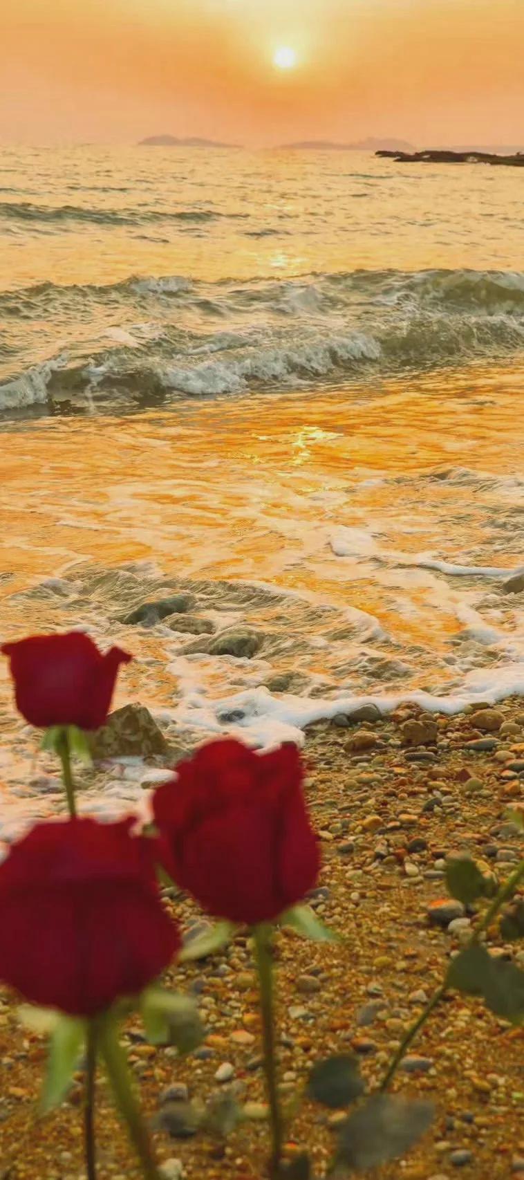 高清壁纸：黄色系治愈壁纸