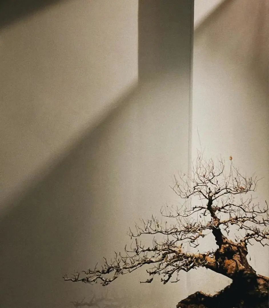 道之言,其闻道也亦先乎吾