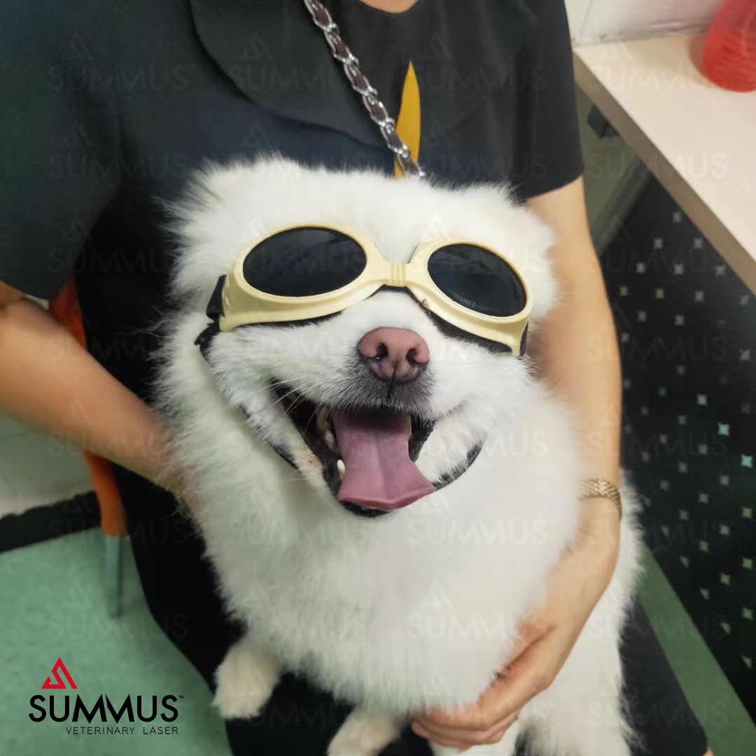 无痛无创疗法，更多医院的选择，SUMMUS全系列产品你喜欢哪个？