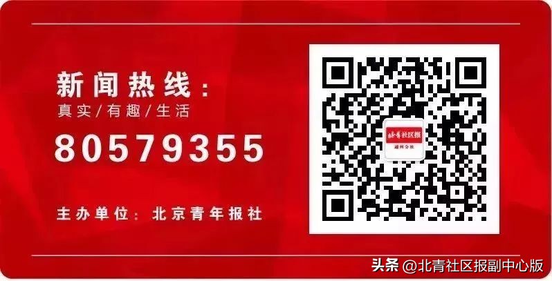 市直青•践|市直机关青联社会法治界别组织开展“法护青春健康用网”主题活动
