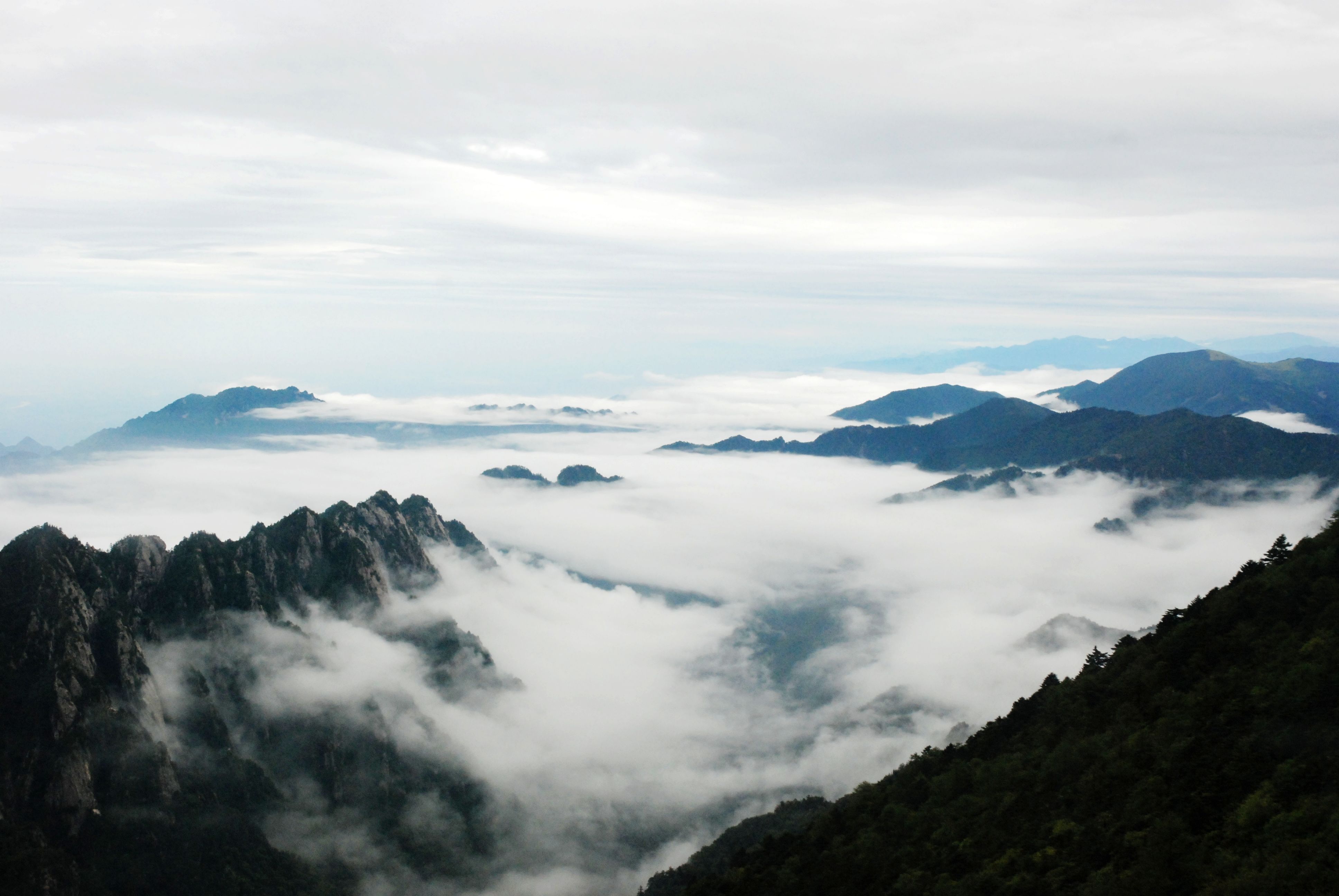 王维杜甫最经典的15首诗,王维给李白写下的15首诗的排名