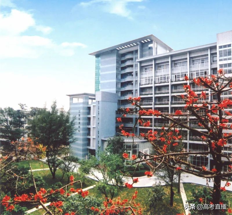 深职全国专科排名,2021广东公办专科学校排名