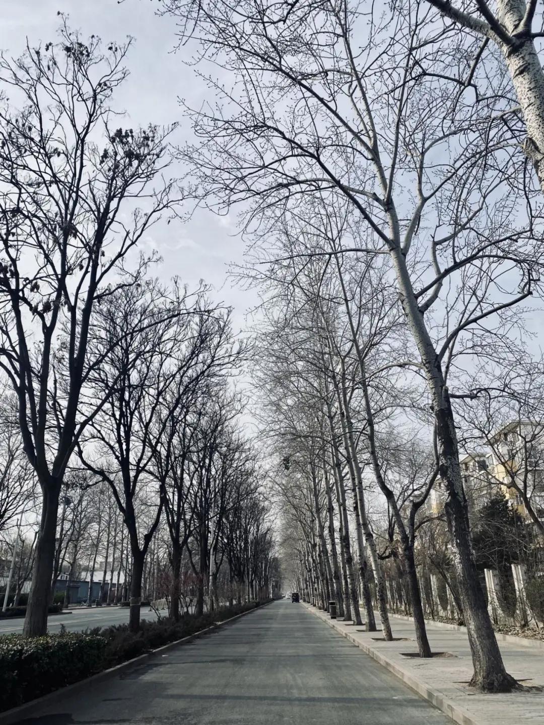 两区交界无地铁的小区涨价了?