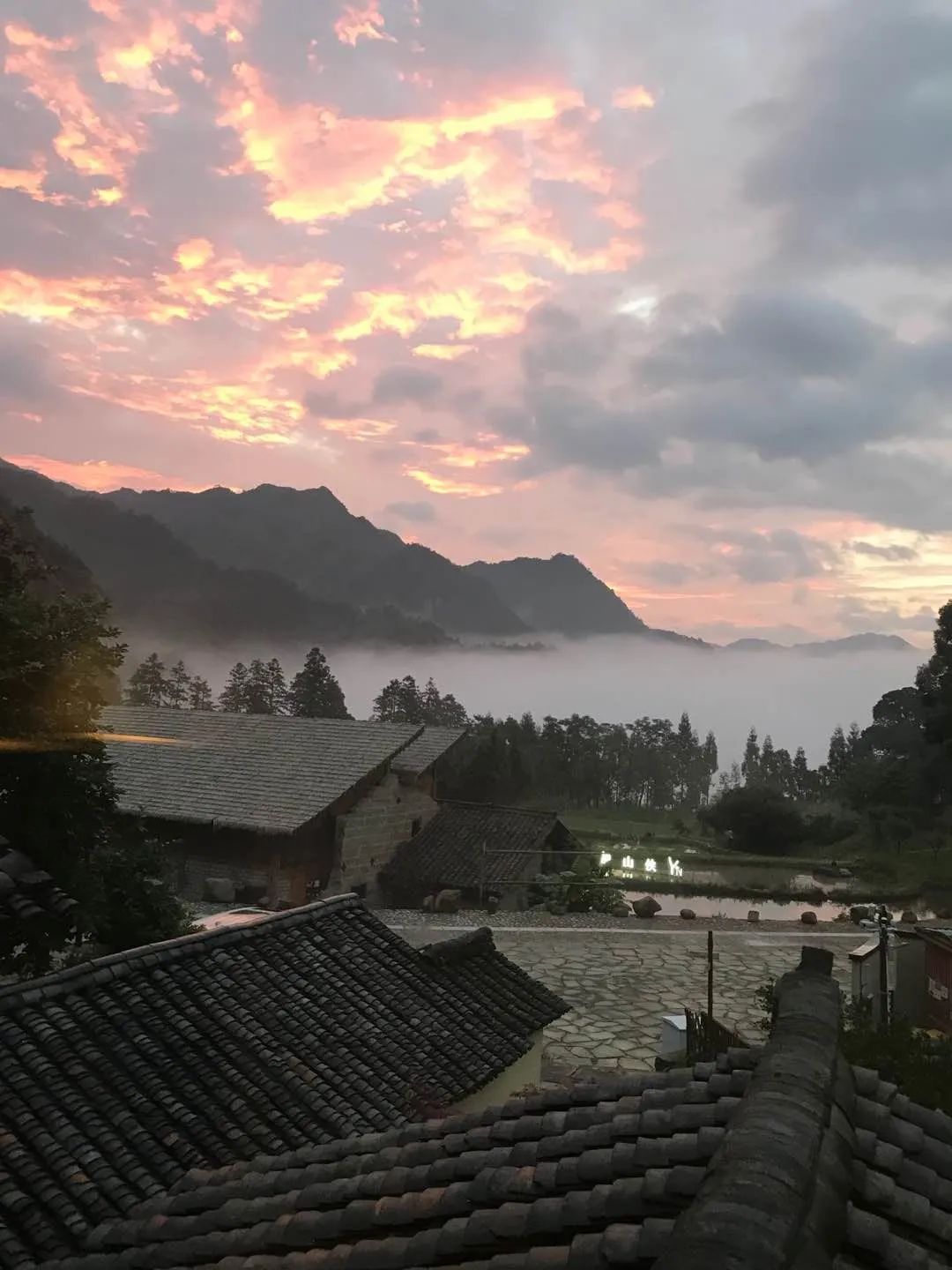 在地之韵|遂昌人人都会功夫？你一定看了茶园武术吧