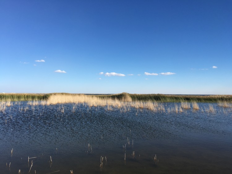 带你了解内蒙古旅游详细攻略,内蒙古旅游详细攻略