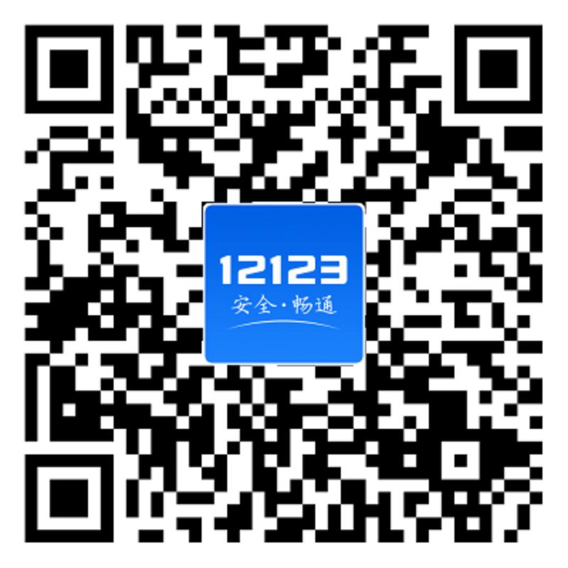 疫情在家必备的软件,12123办理车驾管业务类型