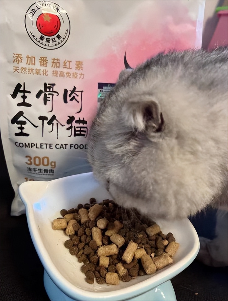 猫生猫粮真实测评,喵达猫粮猫咪吃了好吗