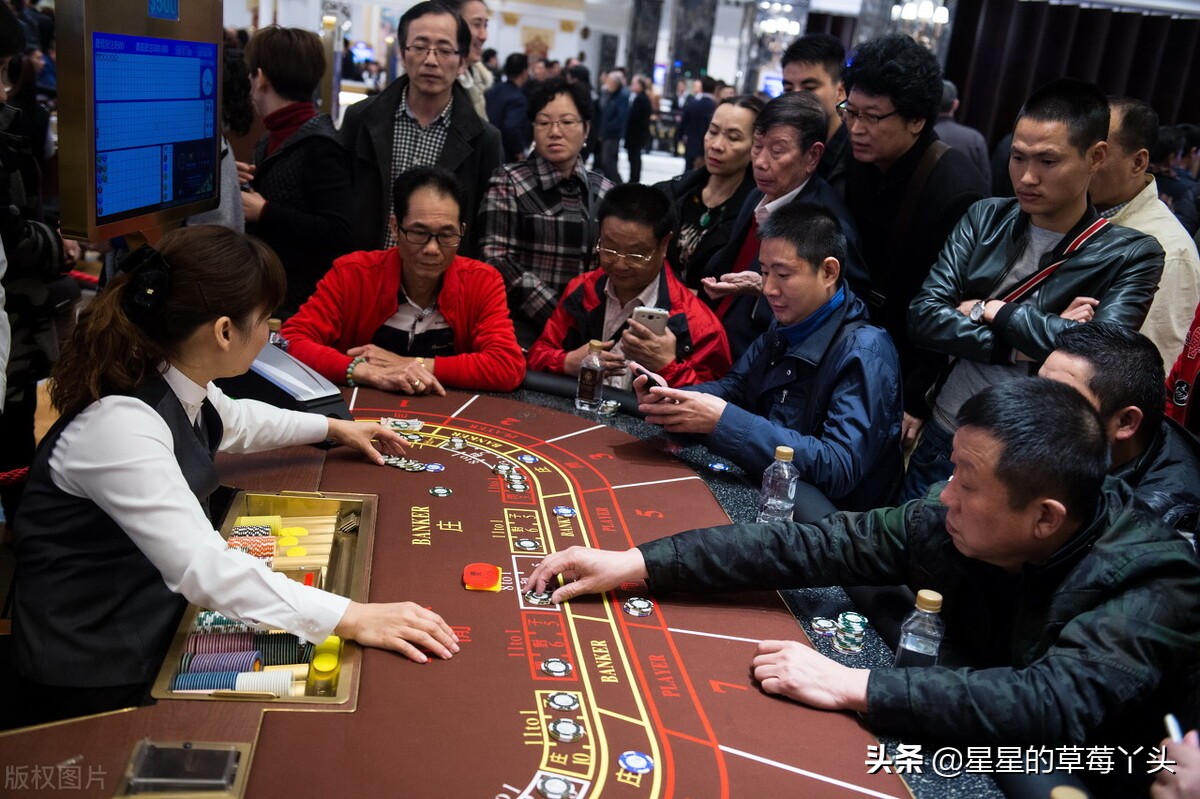 赌博中的人性以及赌博心理学,爱赌博的人的心理分析