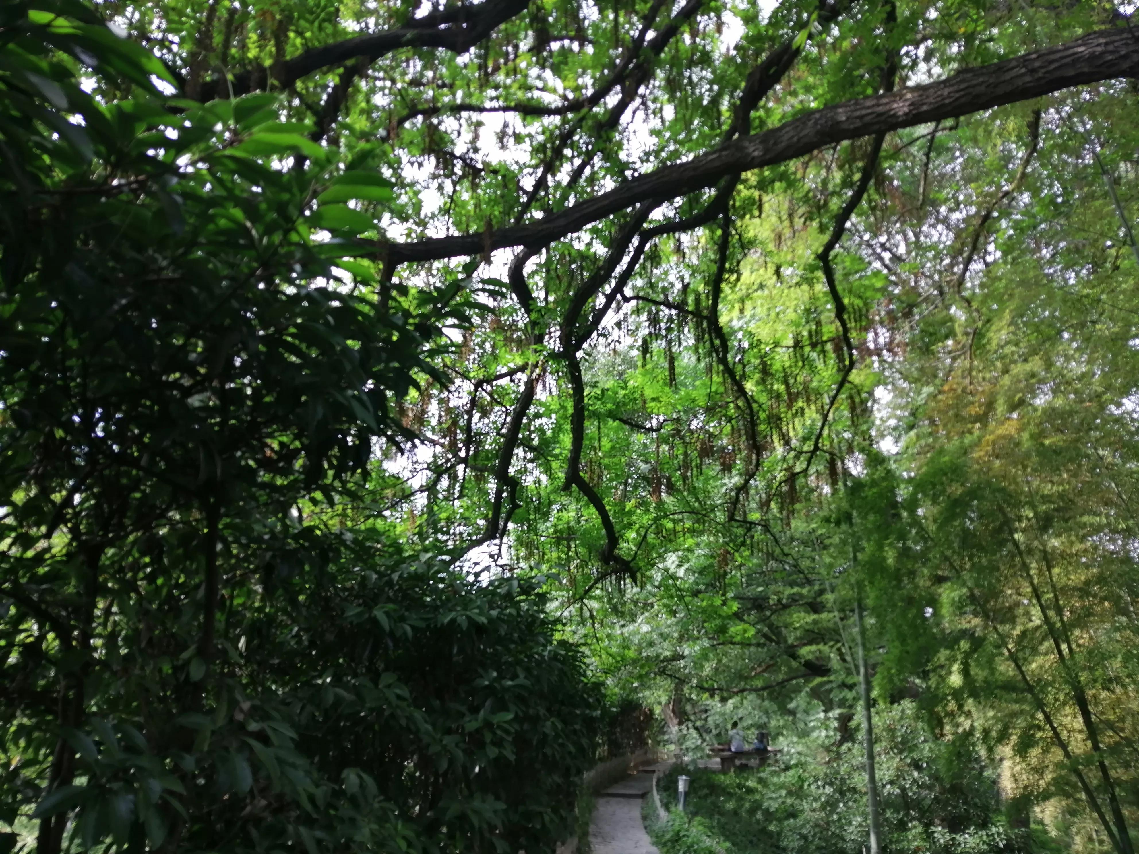 东园好玩的景点推荐,东园旅游景点推荐