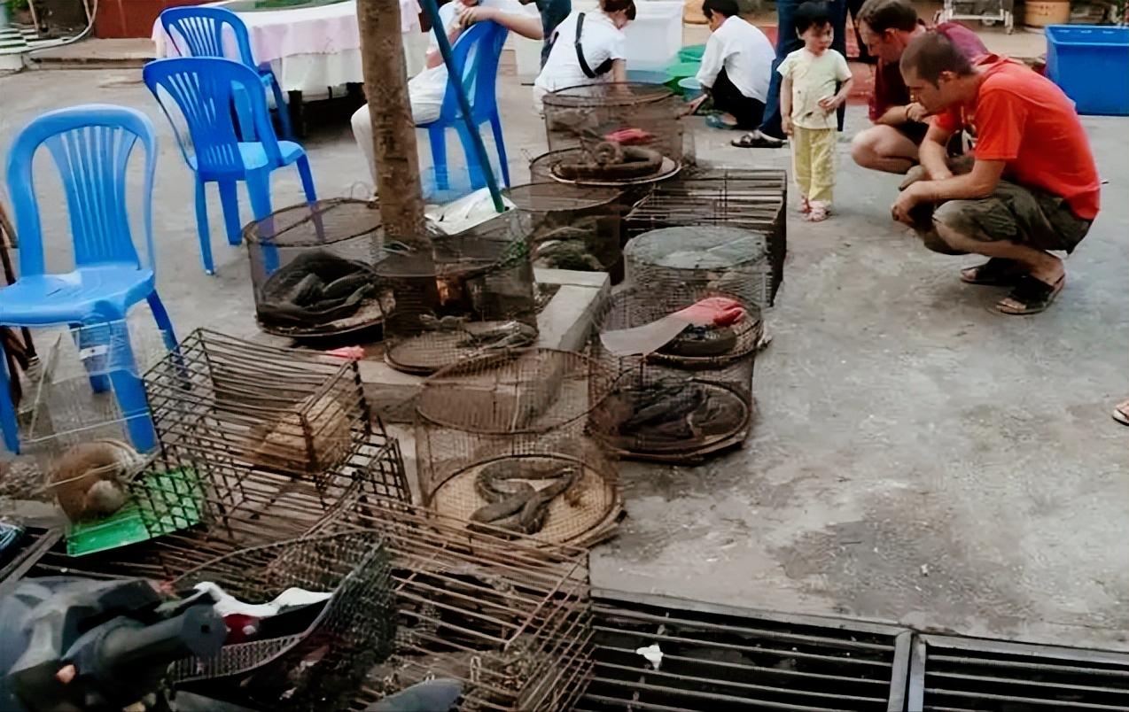 老挝保护野生动物,老挝集市野生动物