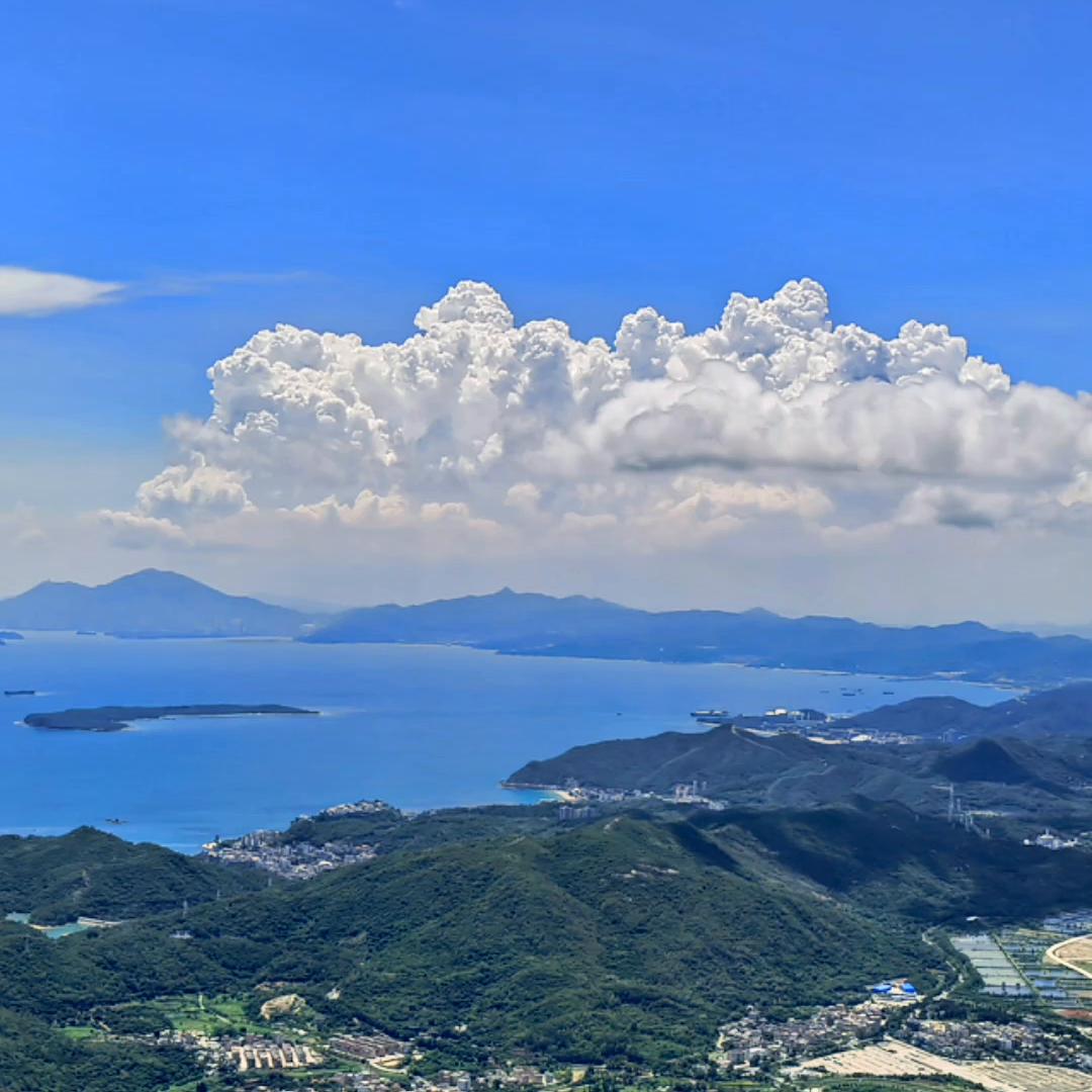 人生感悟情感扎心语录老人,人生感悟情感扎心语录直播