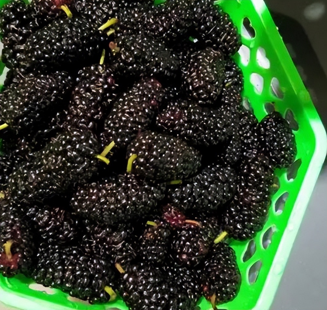 女人来例假千万别吃八种水果,例假来了千万别碰3种水果