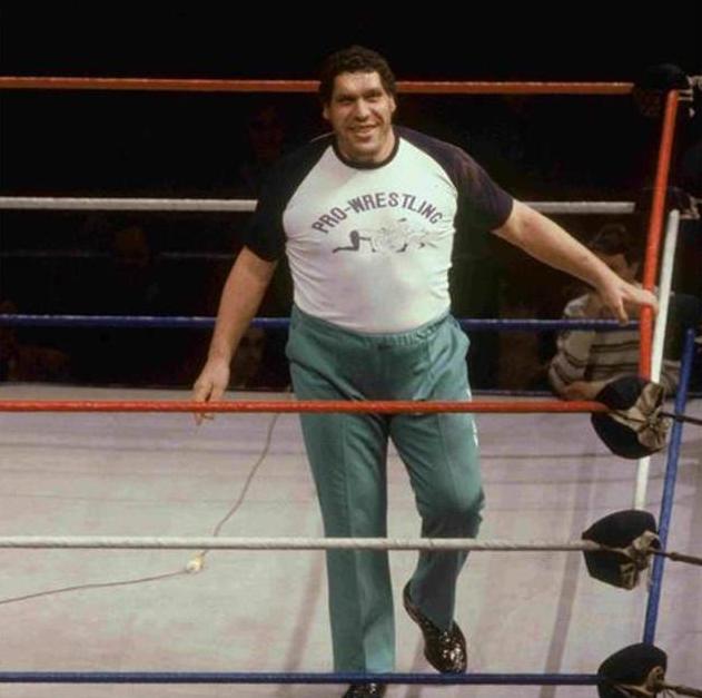 巨人安德雷力气有多大,巨人安德雷视频