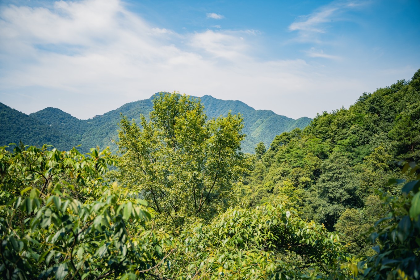 杭州5.1旅游2-3天推荐,杭州天然氧吧旅游攻略