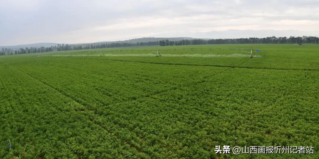 刘志成五寨县,山西五寨刘志成