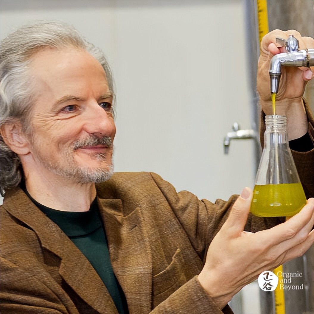 特级初代橄榄油,100%特级冷榨橄榄油推荐