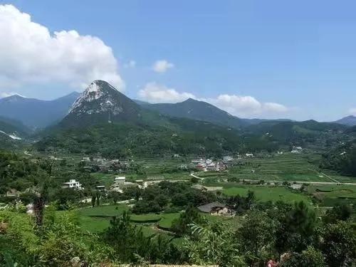 财神和月老吵架完整视频,财神和月老吵架完整版