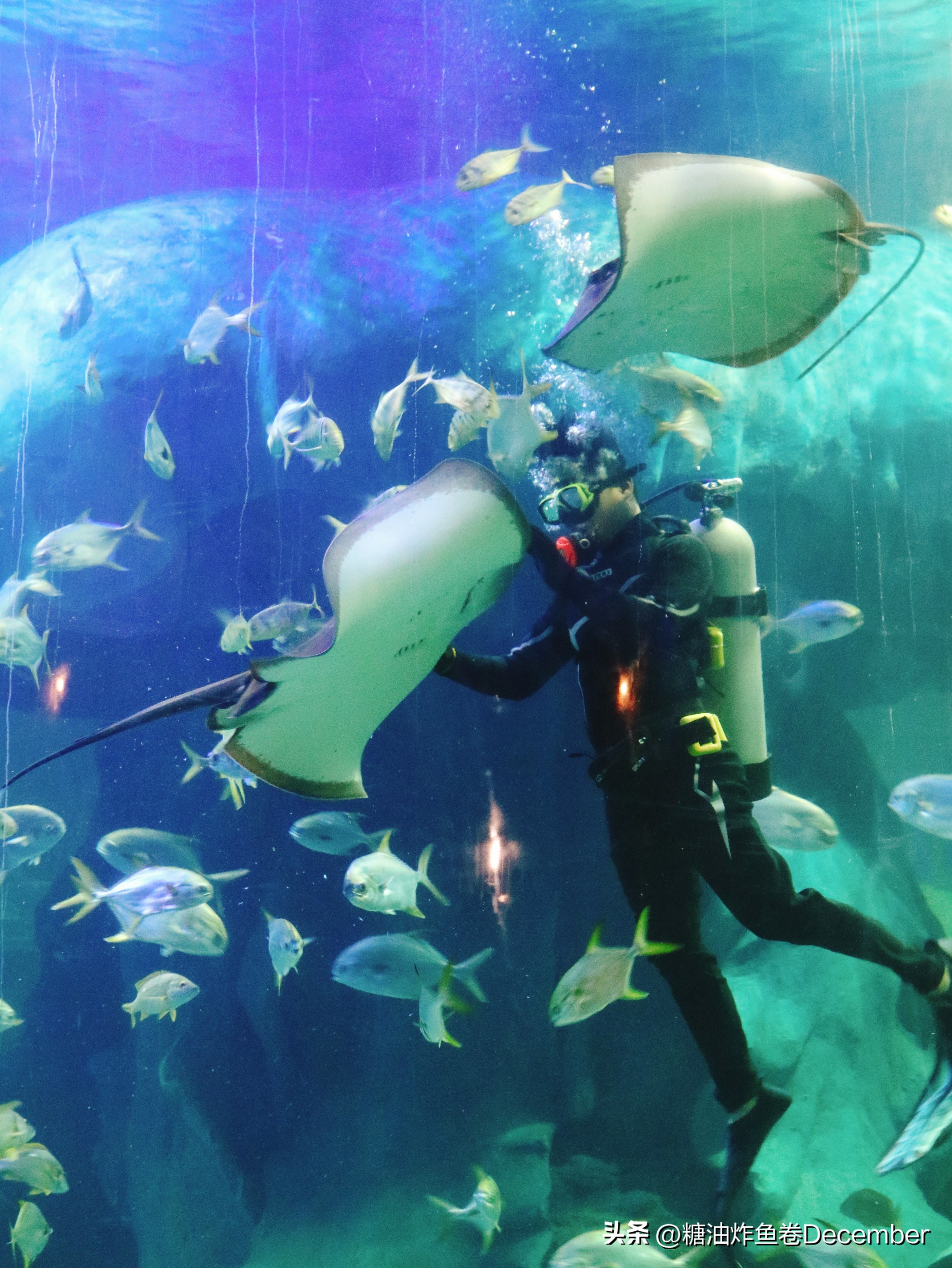 扶绥龙谷湾恐龙公园游玩攻略,扶绥龙谷湾恐龙公园在哪里