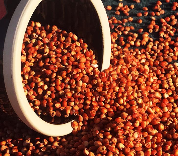 茅台镇酱酒的真实现状,酱酒真的那么好吗茅台镇酱酒