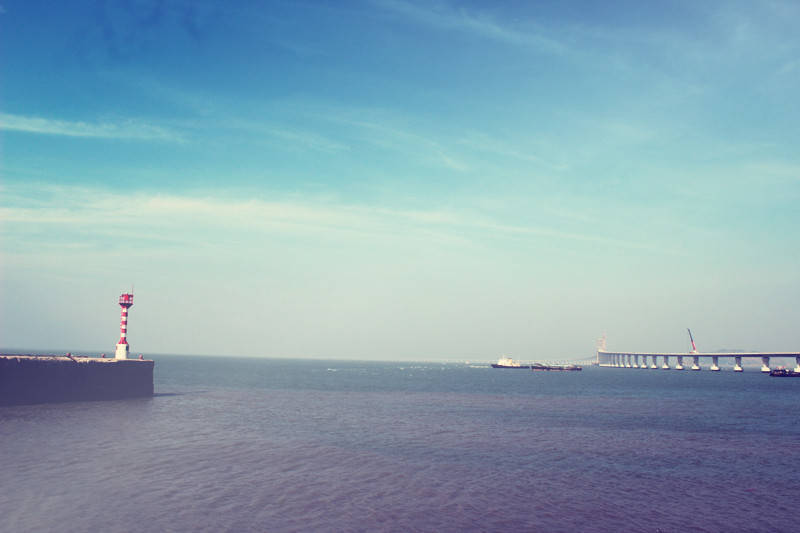 就业前景及薪酬最好的是哪些专业,本科毕业就业年薪最高的专业排名