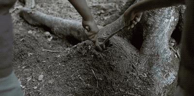 *片禁**之王的新剧，韩版《狂飙》？