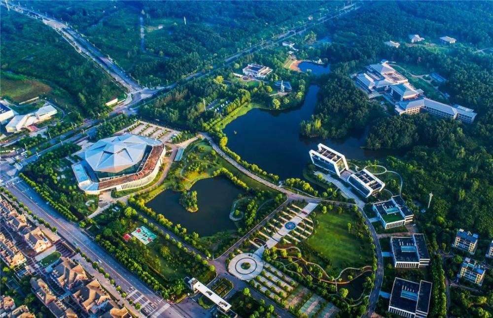 山南啊山南，咋就没个像样的商业呢？