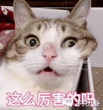 李荣浩杨丞琳婚姻状况最新,李荣浩杨丞琳疑婚变