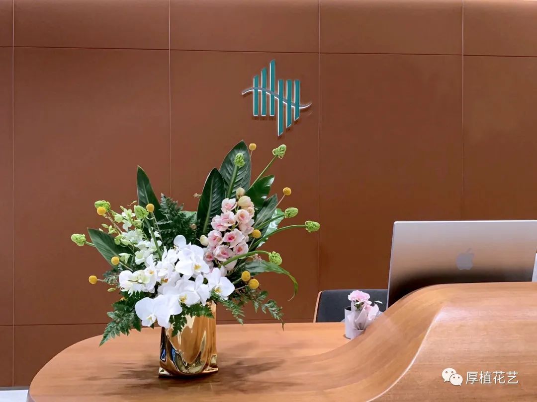 商务前台鲜花,前台花选择