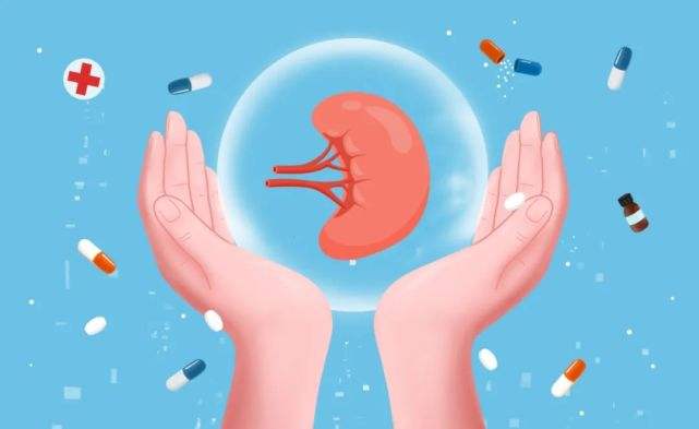 男人肾虚该怎么补肾呢,男人肾虚怎么办中医教你养肾妙招