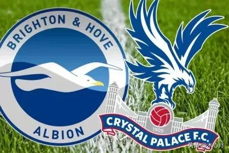 英超巡礼布莱顿,布莱顿本赛季英超表现