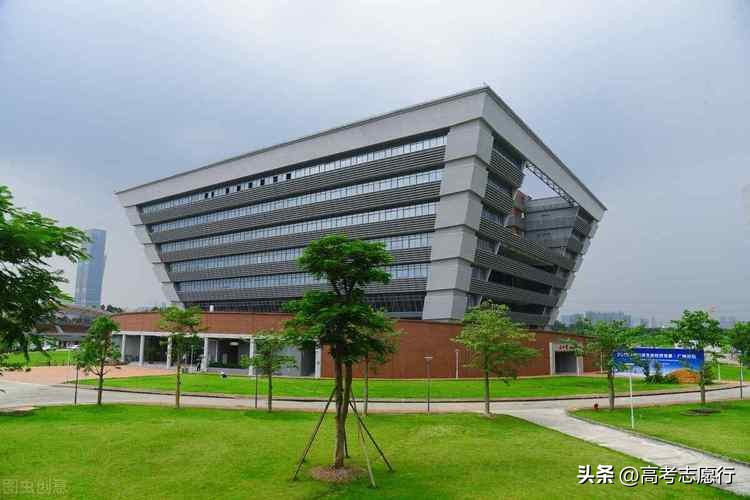 文科考生建议选这四大类专业,文科生可选择的最有前景的专业