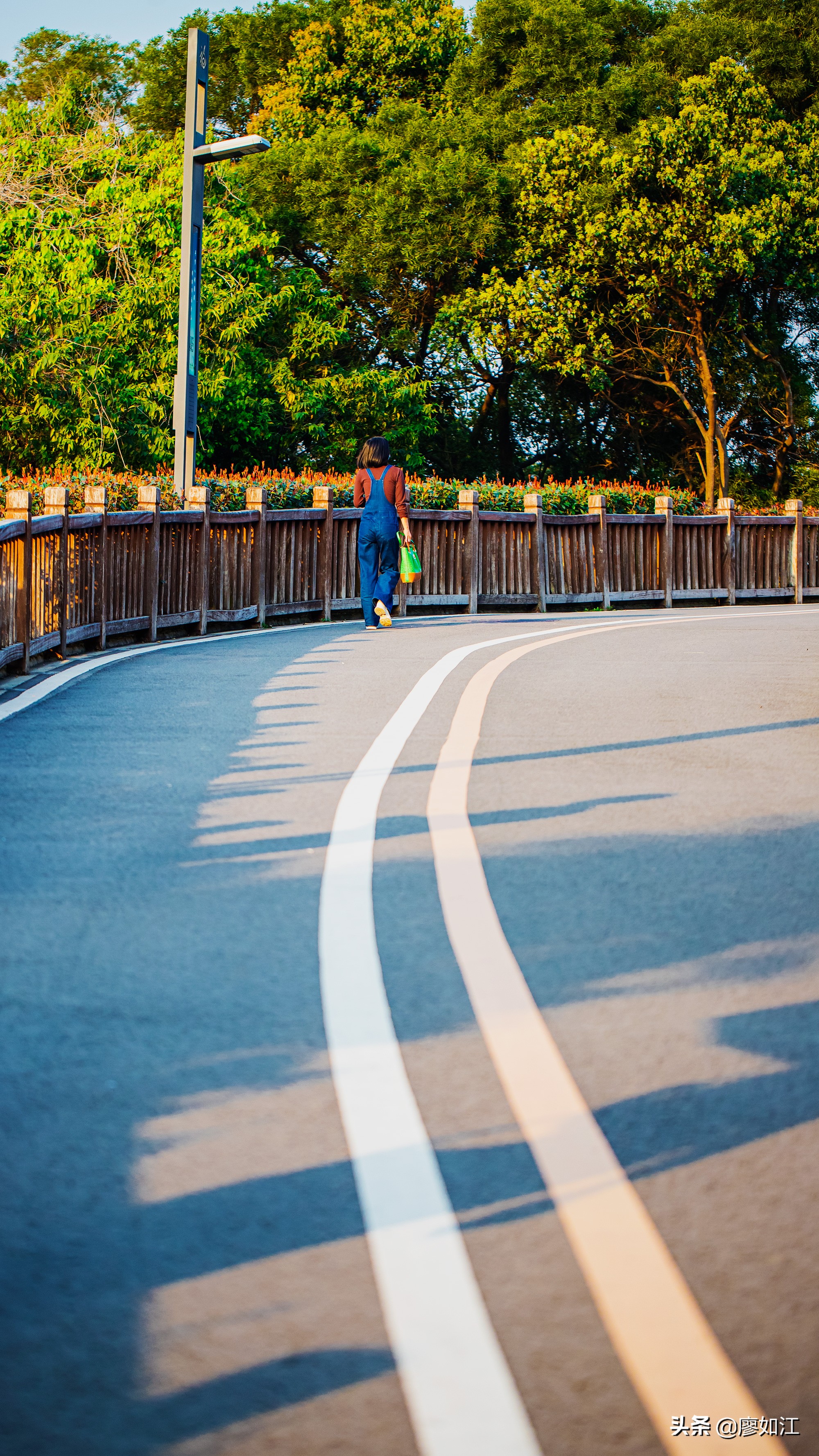 高盖山公园美篇,高盖山公园全景