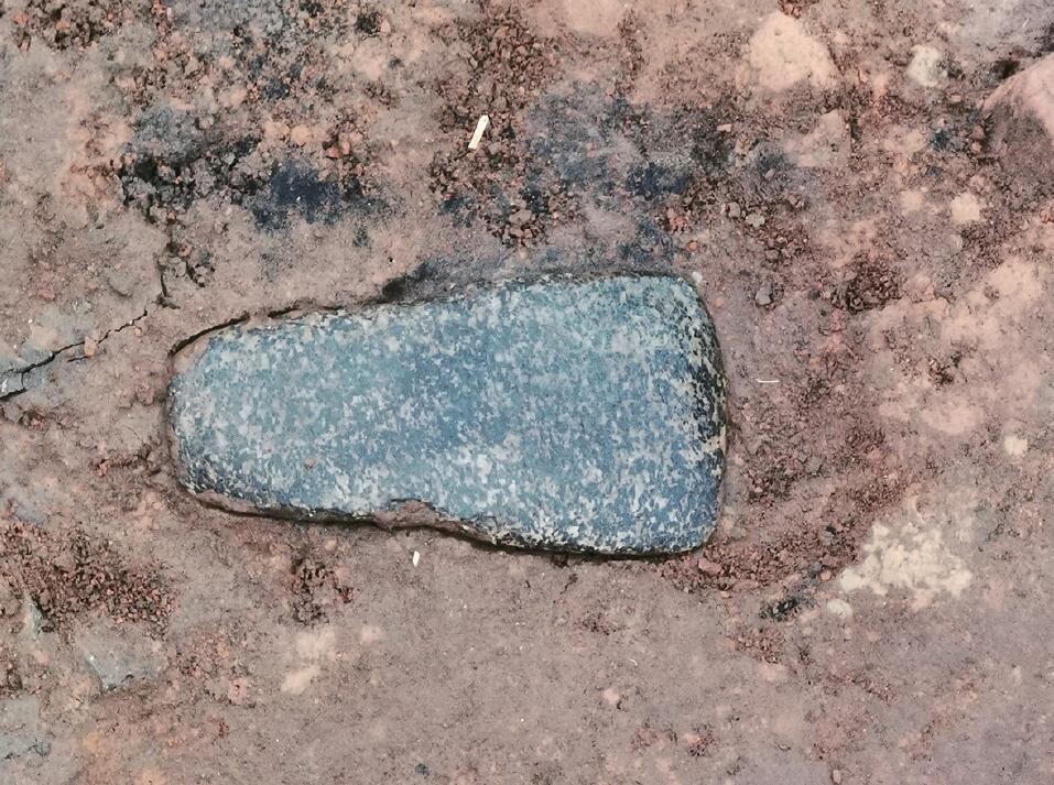 最新考古中华文明传承一万年,考古成果展讲述中华文明故事